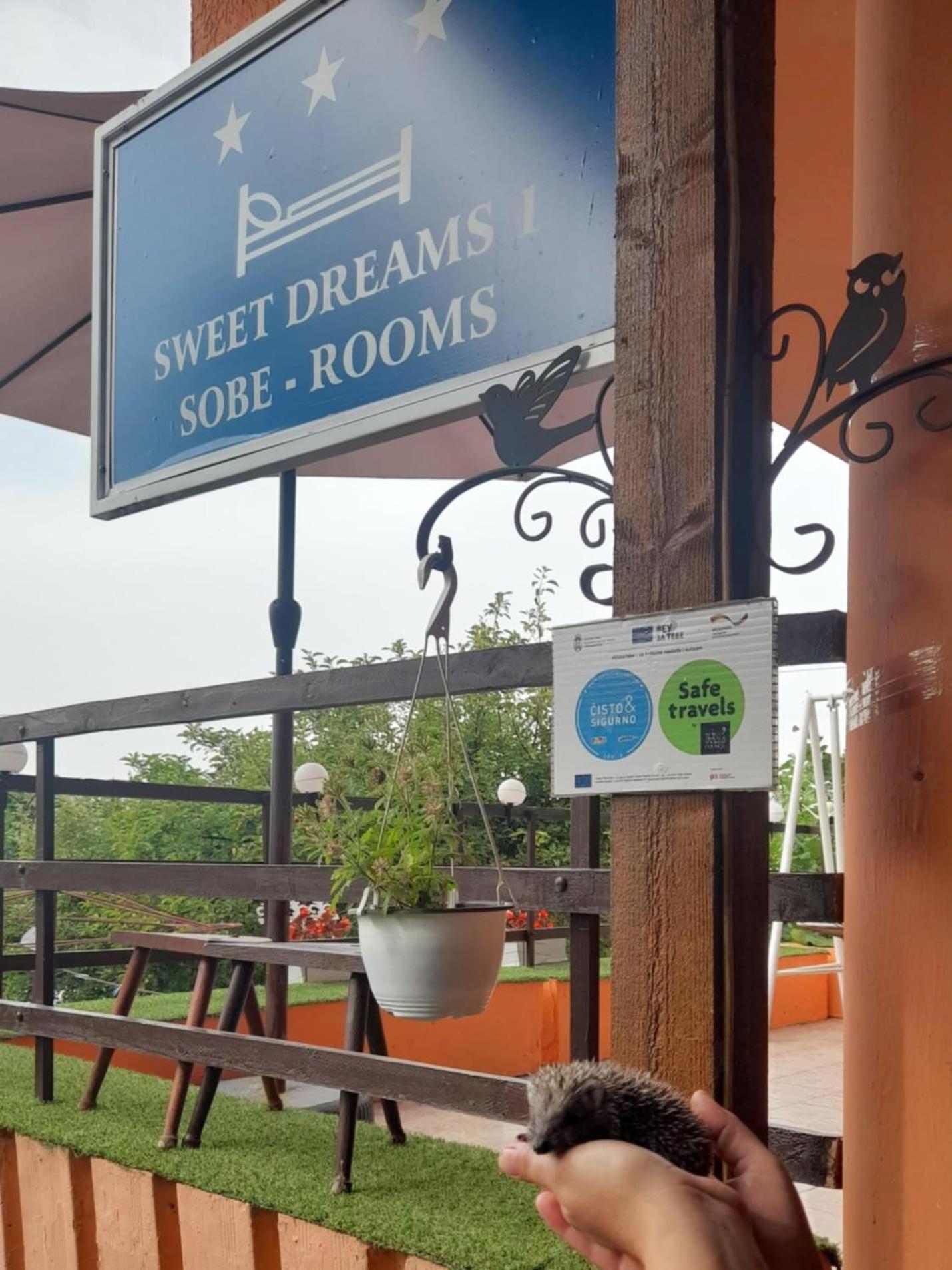 Sweet Dreams Apartment Zajecar Ngoại thất bức ảnh